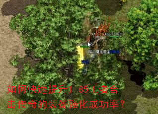如何快速提升1.85王者合击传奇的装备强化成功率? 如何快速提升1.85王者合击传奇的装备强化成功率?