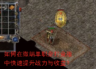 如何在微端单职业打金服中快速提升战力与收益? 如何在微端单职业打金服中快速提升战力与收益?