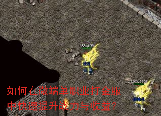 如何在微端单职业打金服中快速提升战力与收益? 如何在微端单职业打金服中快速提升战力与收益?