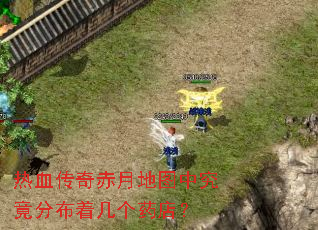 ��Ѫ������µ�ͼ�о����ֲ��ż���ҩ�ꣿ