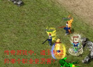 ������Ϸ�У���ʿ�뷨ʦ�ĸ�ְҵ��������