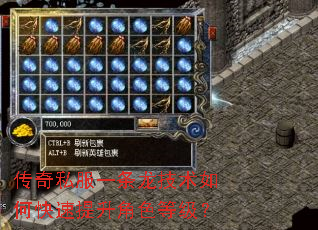传奇私服一条龙技术如何快速提升角色等级? 传奇私服一条龙技术如何快速提升角色等级?