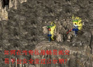 ����ڴ���˽�����׸���ƽ̨��ȫ�ȹ���ʾ�ڣ�