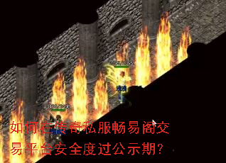 ����ڴ���˽�����׸���ƽ̨��ȫ�ȹ���ʾ�ڣ�