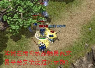 ����ڴ���˽�����׸���ƽ̨��ȫ�ȹ���ʾ�ڣ�