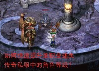 如何快速提升单职业迷失传奇私服中的角色等级? 如何快速提升单职业迷失传奇私服中的角色等级?