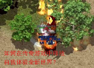 如何在传奇游戏中释放自我体验全新世界? 如何在传奇游戏中释放自我体验全新世界?