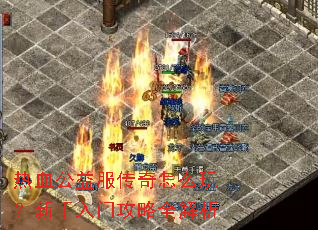 ��Ѫ�����������ô�棿�������Ź���ȫ����