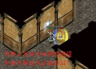 传奇sf发布中如何快速提升角色等级与装备获取? 传奇sf发布中如何快速提升角色等级与装备获取?