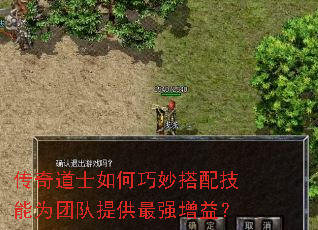 传奇道士如何巧妙搭配技能为团队提供最强增益? 传奇道士如何巧妙搭配技能为团队提供最强增益?