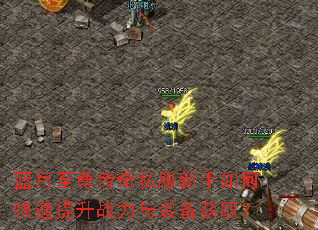 蓝月至尊传奇私服新手如何快速提升战力与装备获取? 蓝月至尊传奇私服新手如何快速提升战力与装备获取?