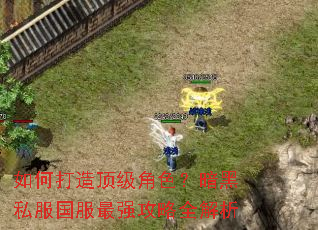 如何打造顶级角色?暗黑私服国服最强攻略全解析 如何打造顶级角色?暗黑私服国服最强攻略全解析