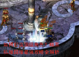 如何打造顶级角色?暗黑私服国服最强攻略全解析 如何打造顶级角色?暗黑私服国服最强攻略全解析