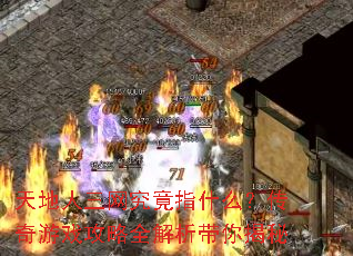 天地人三网究竟指什么?传奇游戏攻略全解析带你揭秘 天地人三网究竟指什么?传奇游戏攻略全解析带你揭秘