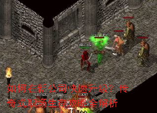 如何在新公司快速升级?传奇式职场生存攻略全解析 如何在新公司快速升级?传奇式职场生存攻略全解析