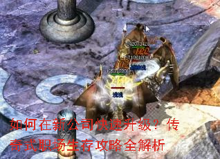 ������¹�˾��������������ʽְ�����湥��ȫ����