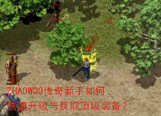 ZHAOWOO传奇新手如何快速升级与获取顶级装备? ZHAOWOO传奇新手如何快速升级与获取顶级装备?