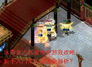 冰雪复古私服传奇游戏攻略:新手入门常见问题全解析? 冰雪复古私服传奇游戏攻略:新手入门常见问题全解析?
