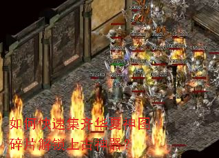 ��ο��ټ��뻪����ͼ��Ƭ�����Ϲ�������