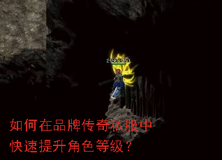 如何在品牌传奇私服中快速提升角色等级? 如何在品牌传奇私服中快速提升角色等级?