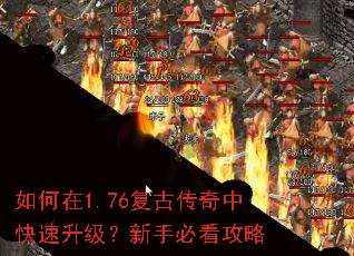 �����1.76���Ŵ����п������������ֱؿ�����