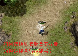 如何快速刷取超变态私服的顶级装备与技能书? 如何快速刷取超变态私服的顶级装备与技能书?