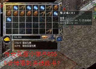 传奇私服中哪些BOSS会掉落刺杀技能书? 传奇私服中哪些BOSS会掉落刺杀技能书?
