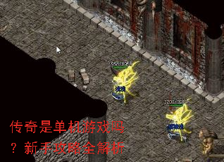 传奇是单机游戏吗?新手攻略全解析 传奇是单机游戏吗?新手攻略全解析