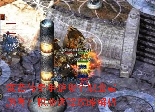 ��̬���������ĸ�ְҵ��������ְҵѡ���Խ���