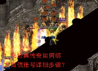 1.76���䴫����ΰ�΢���˺���ϸ���裿