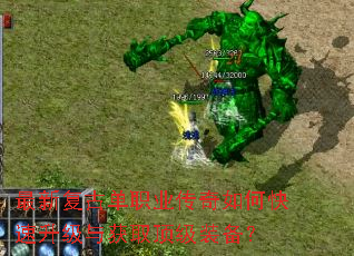 ���¸��ŵ�ְҵ������ο����������ȡ����װ����