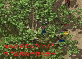 魔域神佑怎么砸上去?求详细攻略与技巧分享 魔域神佑怎么砸上去?求详细攻略与技巧分享