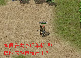����ڴ����ŵ������п��ٳ�Ϊ������֣�