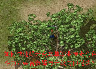 如何快速提升变态单职业传奇角色战斗力?装备选择与升级有何秘诀? 如何快速提升变态单职业传奇角色战斗力?装备选择与升级有何秘诀?