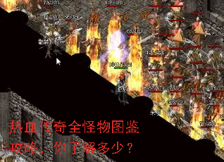 热血传奇全怪物图鉴攻略,你了解多少? 热血传奇全怪物图鉴攻略,你了解多少?