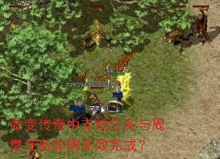 ΢�䴫����֧���������ܳ�������θ�Ч��ɣ�