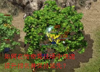 ����ڴ��澺�����п��������������������ȣ�
