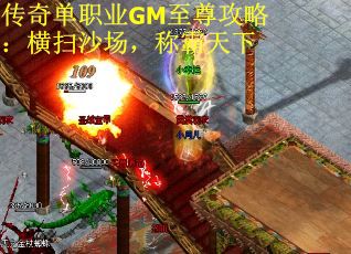 传奇单职业GM至尊攻略：横扫沙场，称霸天下